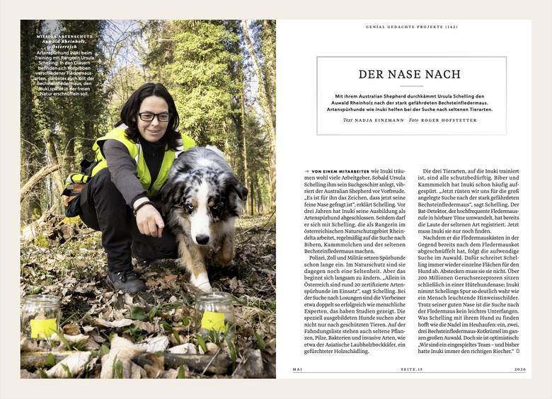 Der Nase nach